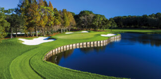 Innisbrook 13th hole at Copperhead Course