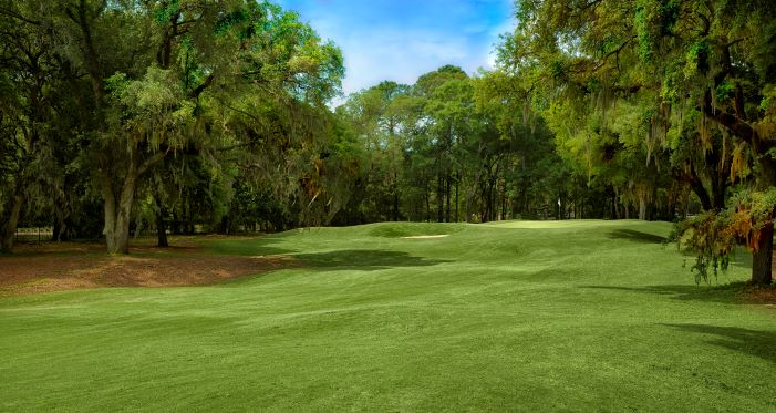 Palmetto Golf and Country Club11