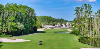 Saddlebrook Resort